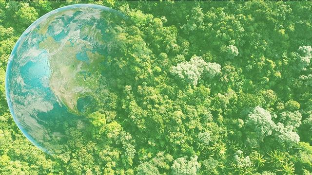 Sustainability hoem page image - Earth with Trees